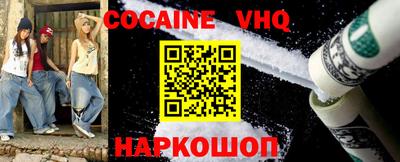 стаф Кингисепп