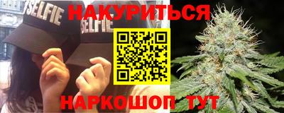 стаф Кингисепп