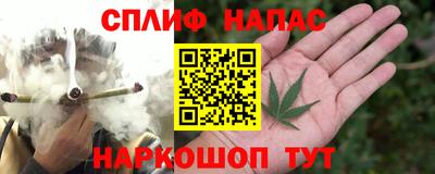 стаф Кингисепп