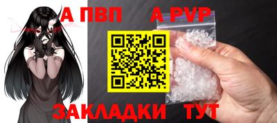 стаф Кингисепп