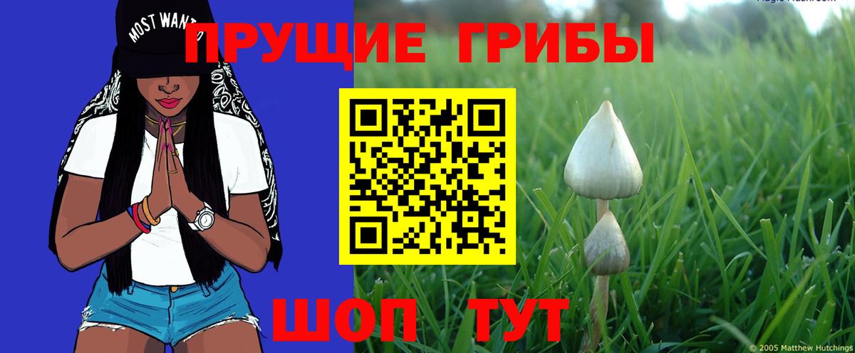 Псилоцибиновые грибы Magic Shrooms Кувандык
