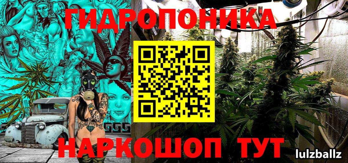 Канабис марихуана  Вход с VPN  Кувандык  Марихуана White Widow  Шишки марихуана гибрид 